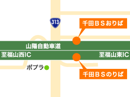 �n�}�F��cBS