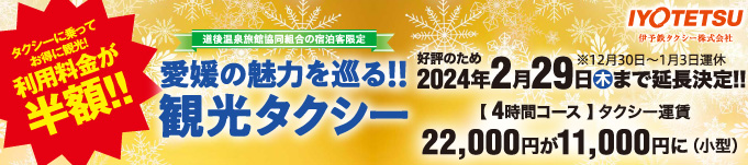 観光タクシー