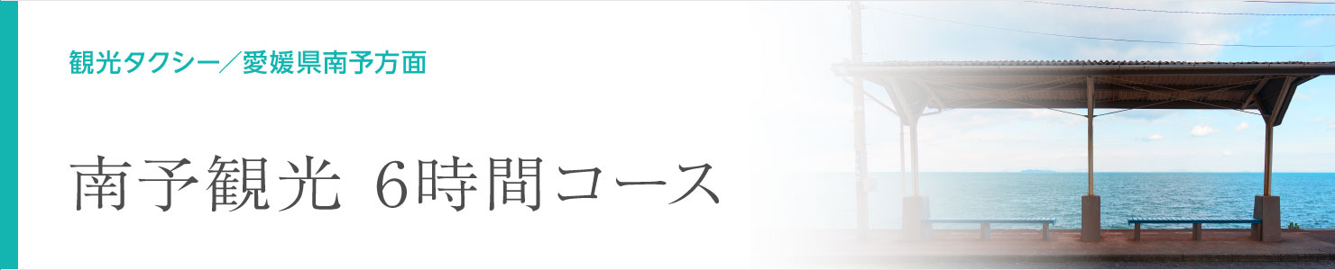 南予観光 6時間コース