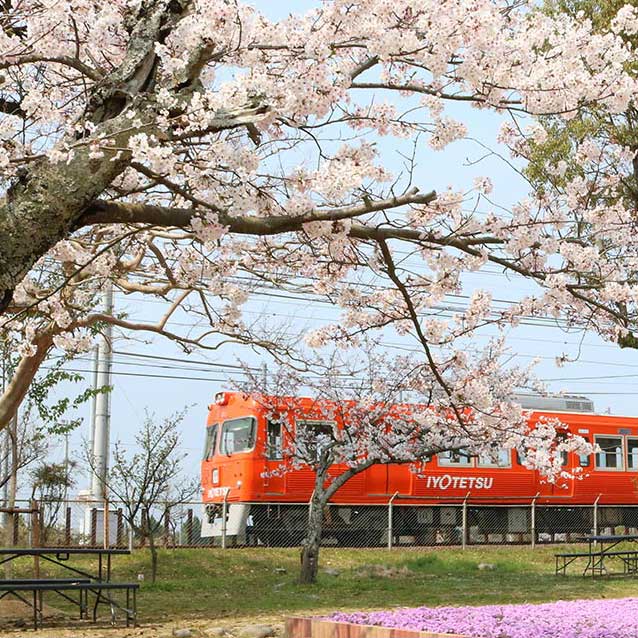 梅津寺公園