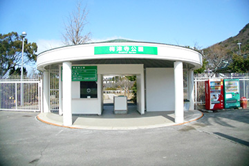 梅津寺公園