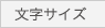 文字サイズ