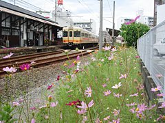 余戸駅